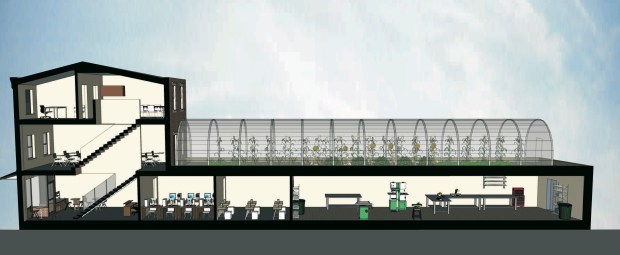 Cohado Cafe Elevation with Sky